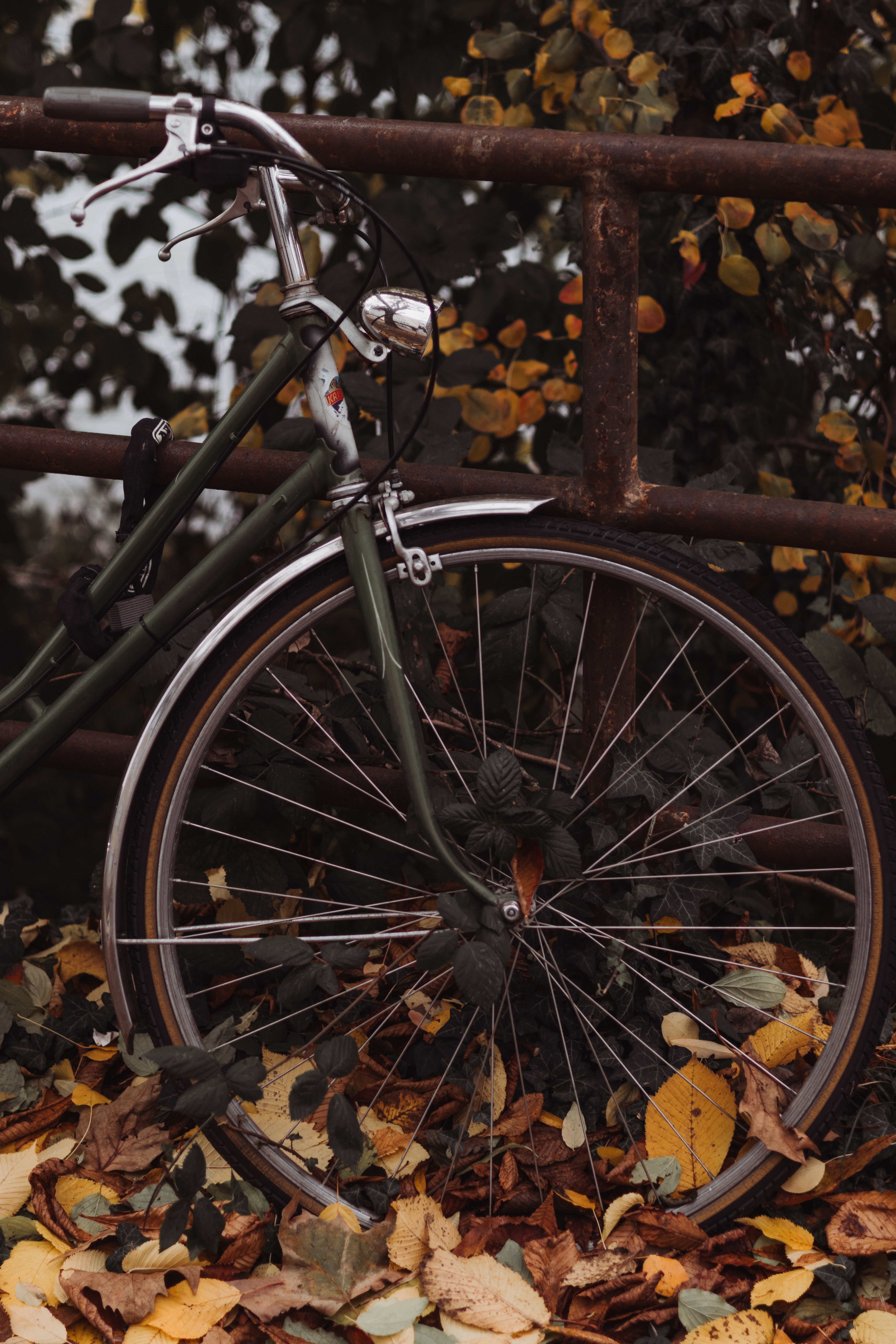 bicycle