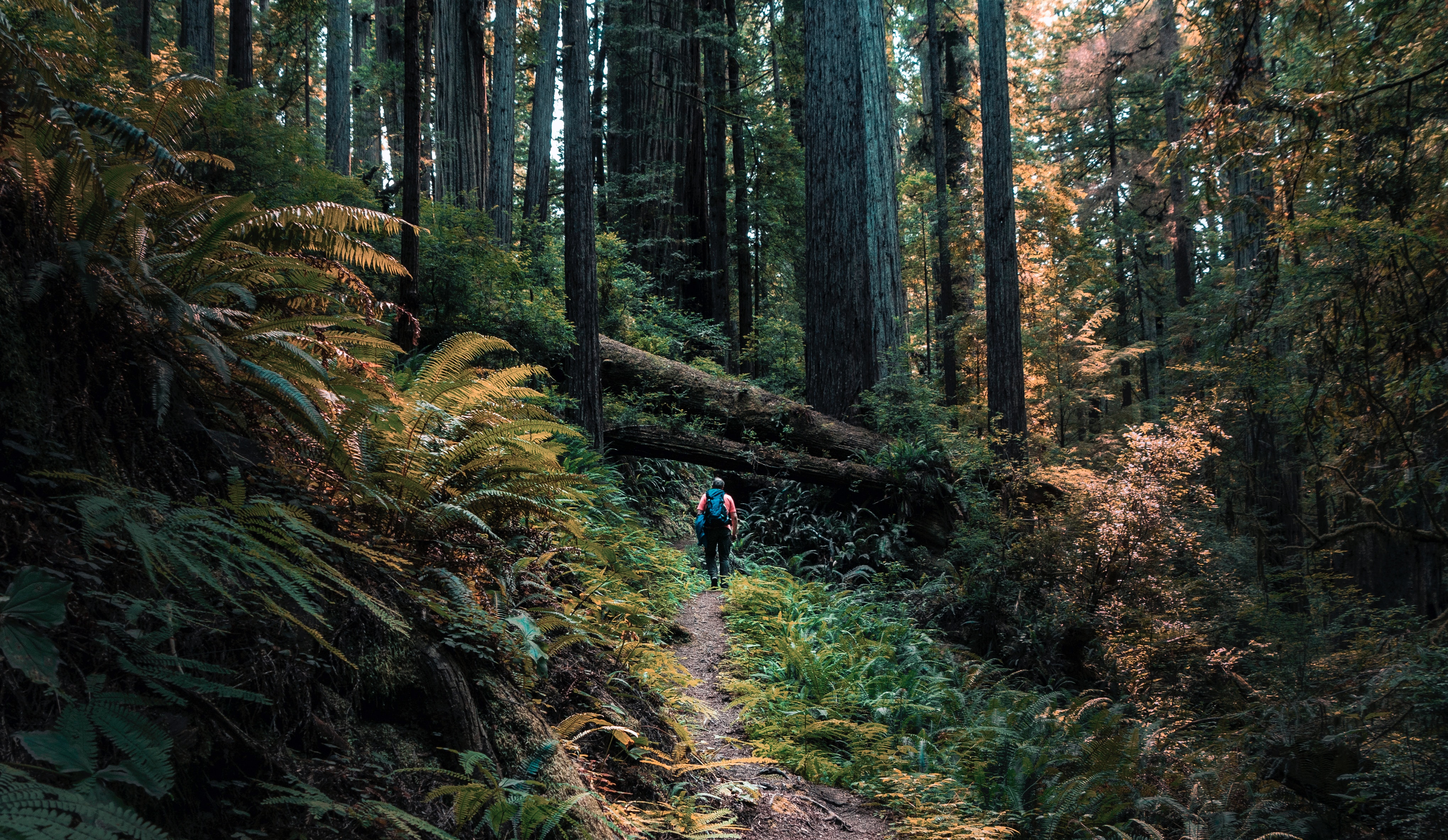 hiking